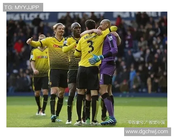 沃特福德与曼联精彩对决视频回顾及赛后分析